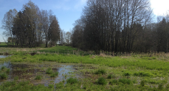 Federseemoor im Landkreis Biberach