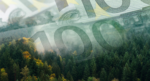 Bildmontage: 100-Euro-Scheine liegen über einem dichten Wald / Bild: sergeykloptov / stock.adobe.com