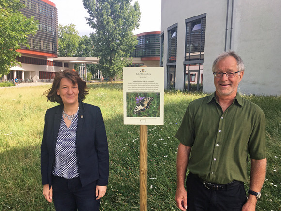 Blühende Wiesen auf dem Campus Süd des Karlsruher Instituts für Technologie (KIT): Mit neuen Schildern wird auf das ökologische Pflegekonzept hingewiesen. Staatssekretärin Gisela Splett und Peter Zöllner, beim Amt Karlsruhe von Vermögen und Bau Baden-Württemberg unter anderem für das Grünflächenmanagement zuständig, machten sich vor Ort ein Bild davon, wie es grünt, blüht, flattert und summt.