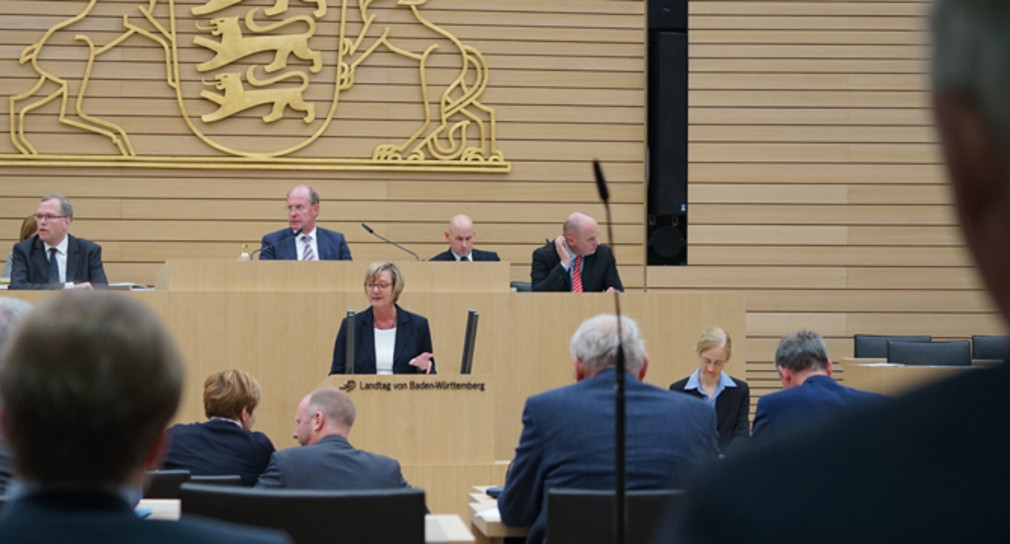 Finanzministerin Edith Sitzmann bringt bei der Einbringung des Regierungsentwurfs zum Landeshalt der Jahre 2018 und 2019 in den Landtag.