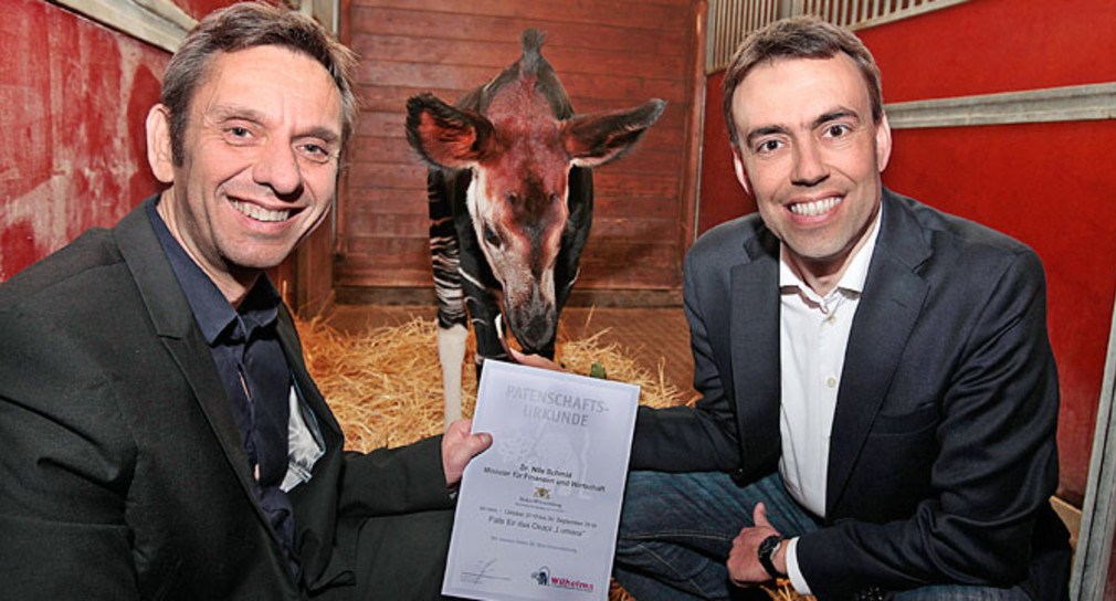 Wilhelmatag Finanz- und Wirtschaftsminister Nils Schmid übernimmt Patenschaft für Okapi Wilhelmadirektor Thomas Kölpin (l.) überreicht Finanz- und Wirtschaftminister Nils Schmid (r.) die Patenschaftsurkunde für Okapi "Lumara" (M.) (Foto: Thomas Hörner).
