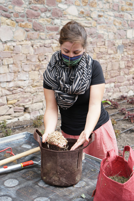 Bio-Zertifizierung der Schlossgärtnerei im Schlossgarten Karlsruhe Judith Clemens (Gärtnerin) erklärt die Vorteile des Mulchens in der biologischen Gärtnerei im Schlossgarten Karlsruhe