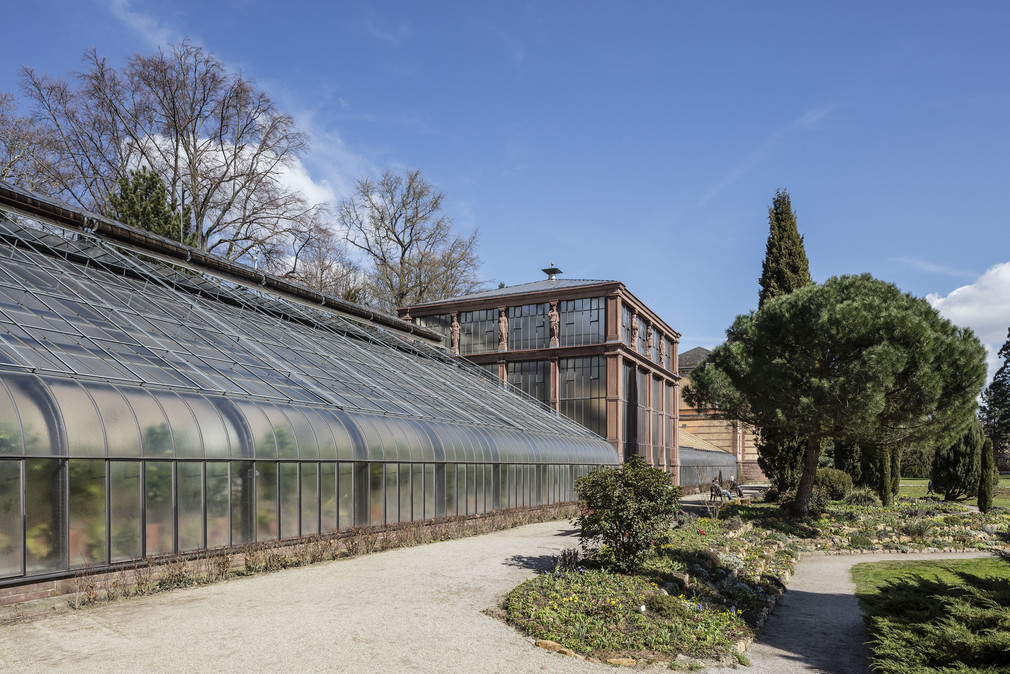 Schaugewächshäuser im Botanischen Garten Karlsruhe