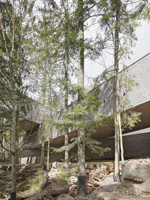 Besucherzentrum Nationalpark Schwarzwald Ansicht Süd: Riegel B, C und D