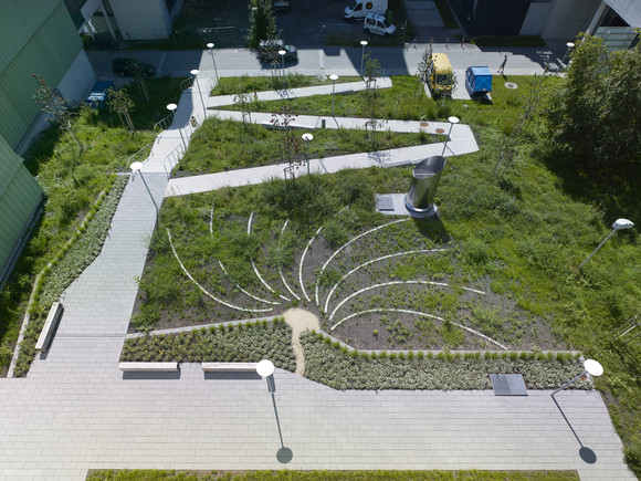 Außenanlage Neubau Forschungsgebäude Biologie, VCC Konstanz