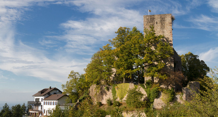 Burg Neu-Windeck in Lauf 
