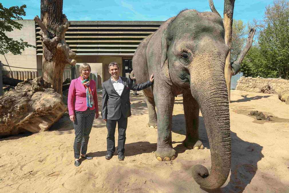 Finanzministerin Edith Sitzmann, Wilhelma-Direktor Dr. Thomas Kölpin und Elefant Pama.