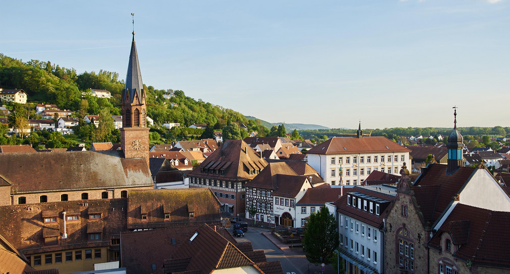 Blick über die Innenstadt von Weingarten mit historischer Kirche, Fachwerkhäusern und grüner Umgebung bei sonnigem Wetter.