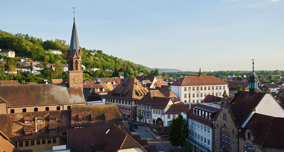 Blick über die Innenstadt von Weingarten mit historischer Kirche, Fachwerkhäusern und grüner Umgebung bei sonnigem Wetter.
