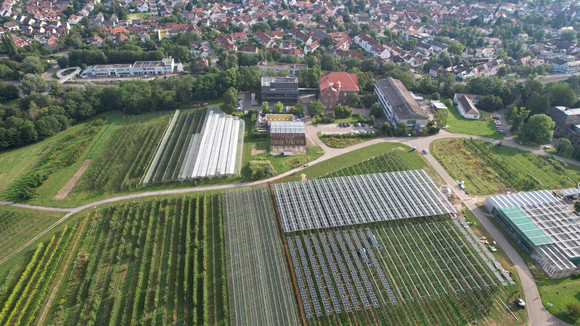 Luftbild Landwirtschaftliches Technologiezentrum Augustenberg mit Agri PV Anlage