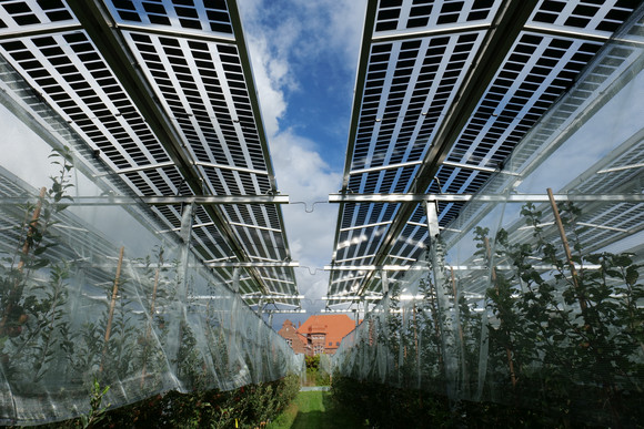 Landwirtschaftliches Technologiezentrum Augustenberg Agri PV-Anlage 