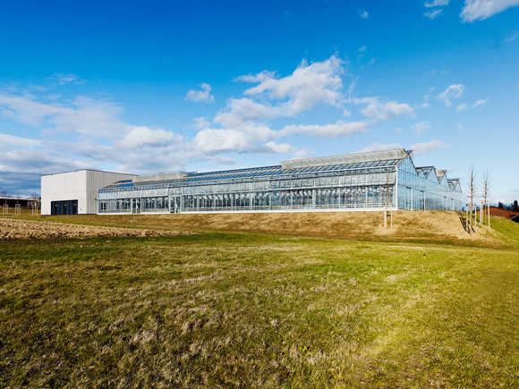 Phytogewächshaus Universität Hohenheim, UBA Stuttgart und Hohenheim