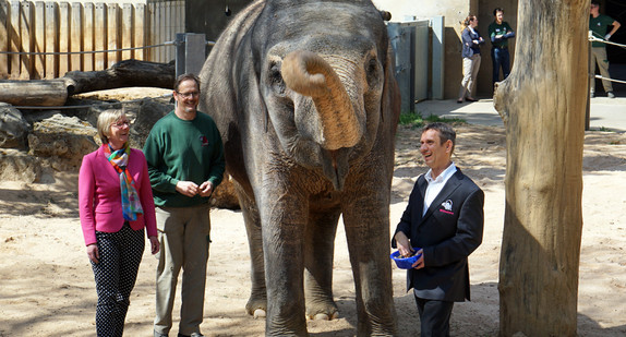 Finanzministerin Edith Sitzmann bei den Elefanten in der Wilhelma, rechts im Bild Wilhelma-Direktor Dr. Thomas Kölpin.