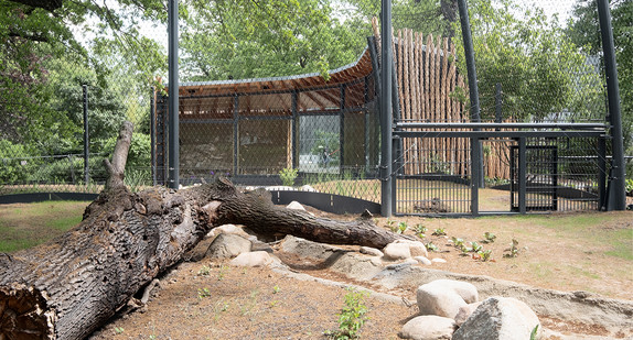 Amurtigeranlage Wilhelma