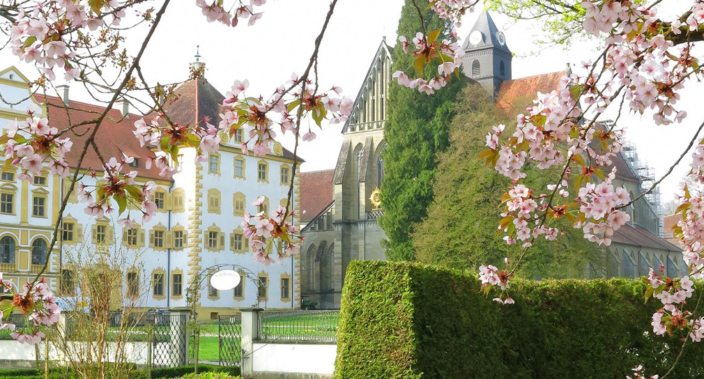 Kloster und Schloss Salem im Frühling. (Bild: Hermann Böhne / Staatliche Schlösser und Gärten)