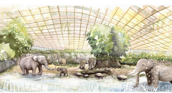 Visualisierung des künftigen Elefantenhauses der Wilhelma, Perspektive Innenraum.