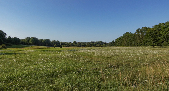 Naturschutz auf Landesflächen