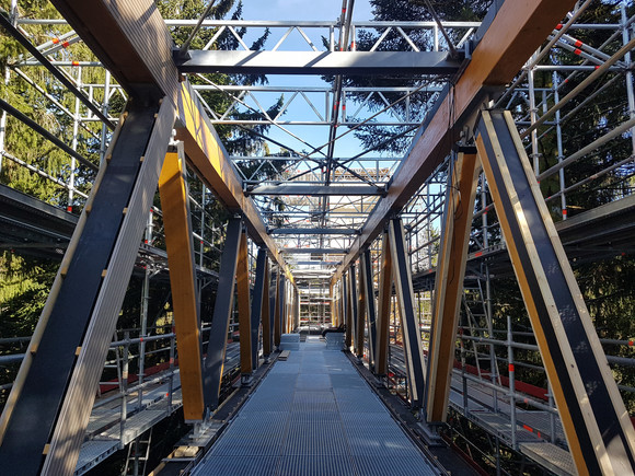 Der Skywalk, über den  Besucherinnen und Besucher künftig bis zwischen die Baumwipfel spazieren können / Foto: Ministerium für Finanzen