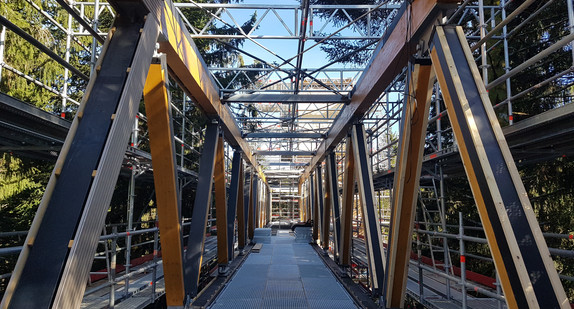 Der Skywalk, über den  Besucherinnen und Besucher künftig bis zwischen die Baumwipfel spazieren können / Foto: Ministerium für Finanzen