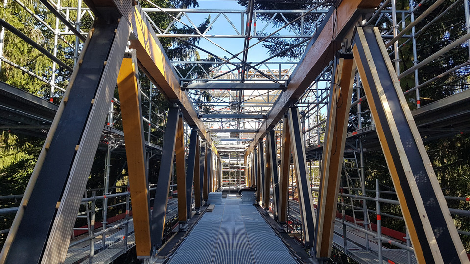 Der Skywalk, über den  Besucherinnen und Besucher künftig bis zwischen die Baumwipfel spazieren können / Foto: Ministerium für Finanzen