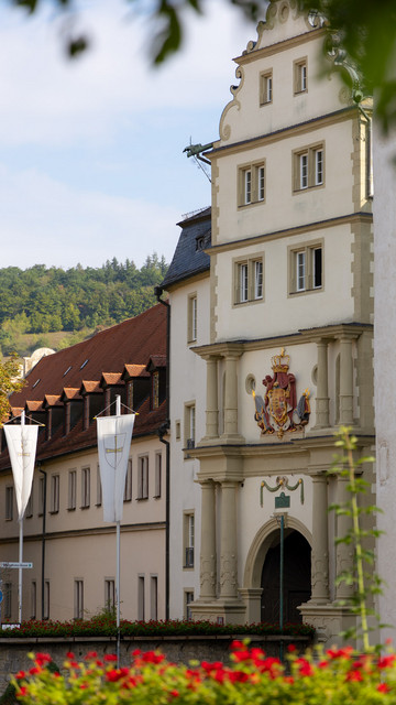 Bad Mergentheim Schloss von außen