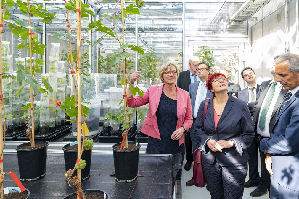 Finanzministerin Edith Sitzmann besichtigt die neuen Phytolabore am Weinbauinstitut Freiburg.