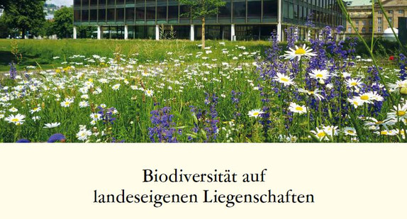 Deckblatt der Broschüre Biodiversität auf landeseigenen Liegenschaften