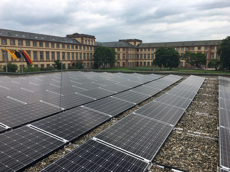 Die neue Photovoltaik-Anlage auf dem Dach der Mensa der Universität Mannheim.