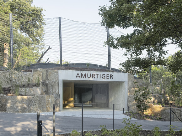 Vermögen und Bau Eröffnung der neuen Anlage für Amur-Tiger in der Wilhelma Amurtigeranlage Wilhelma