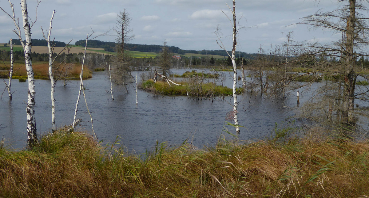 Naturschutzgebiet Wurzacher Ried