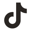 TikTok Icon